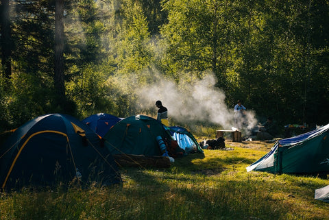 Tents at a forest campground surrounded by trees